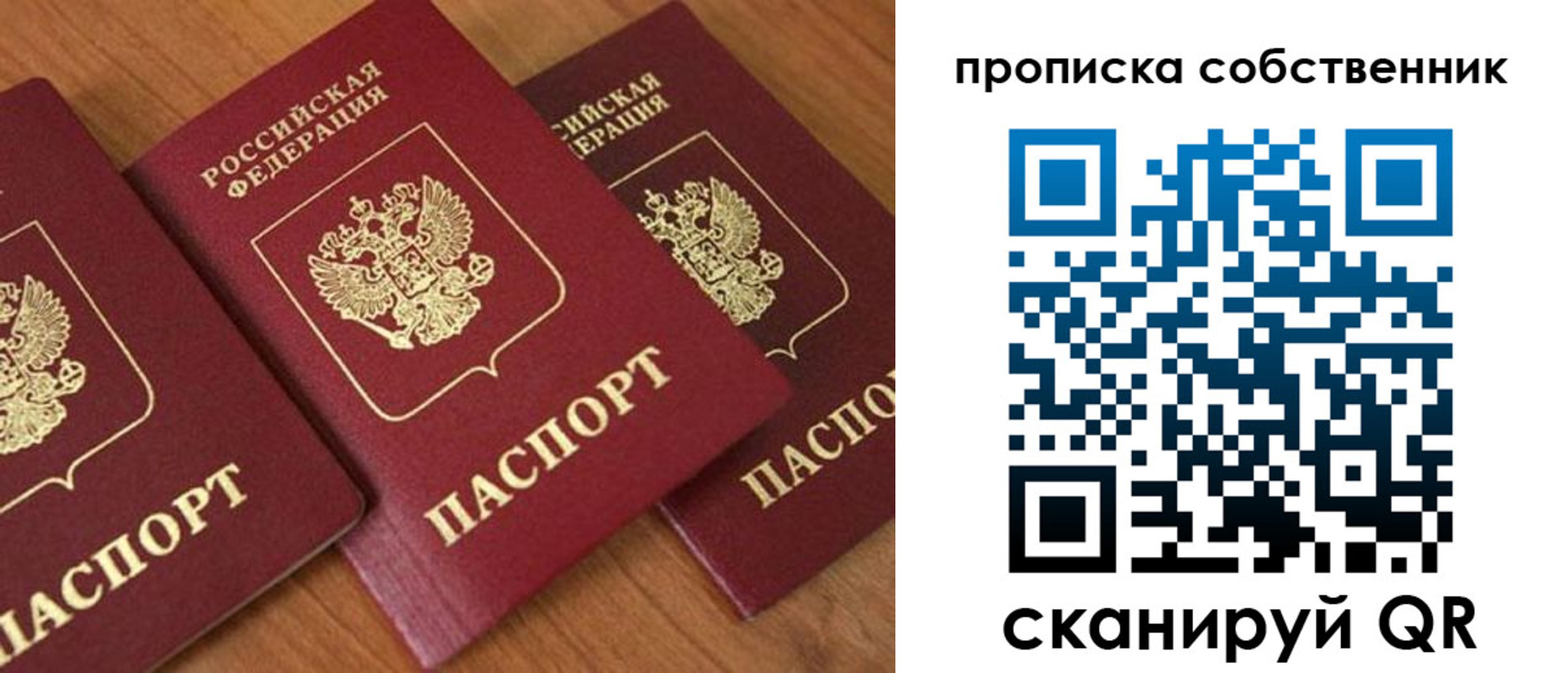 прописка 2025 в Солнечногорске